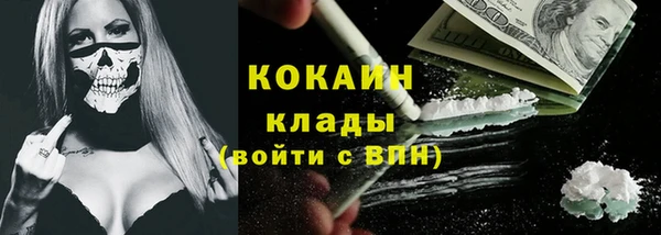 гашик Зеленокумск