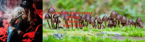 винт Зеленодольск