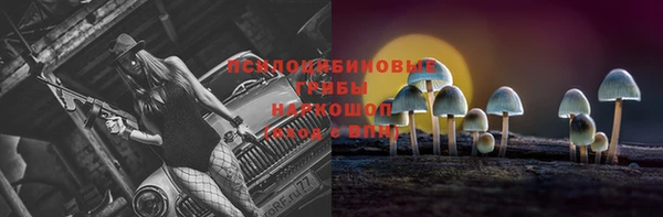 гидропоника Зерноград