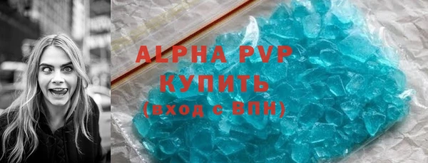 гашик Зеленокумск
